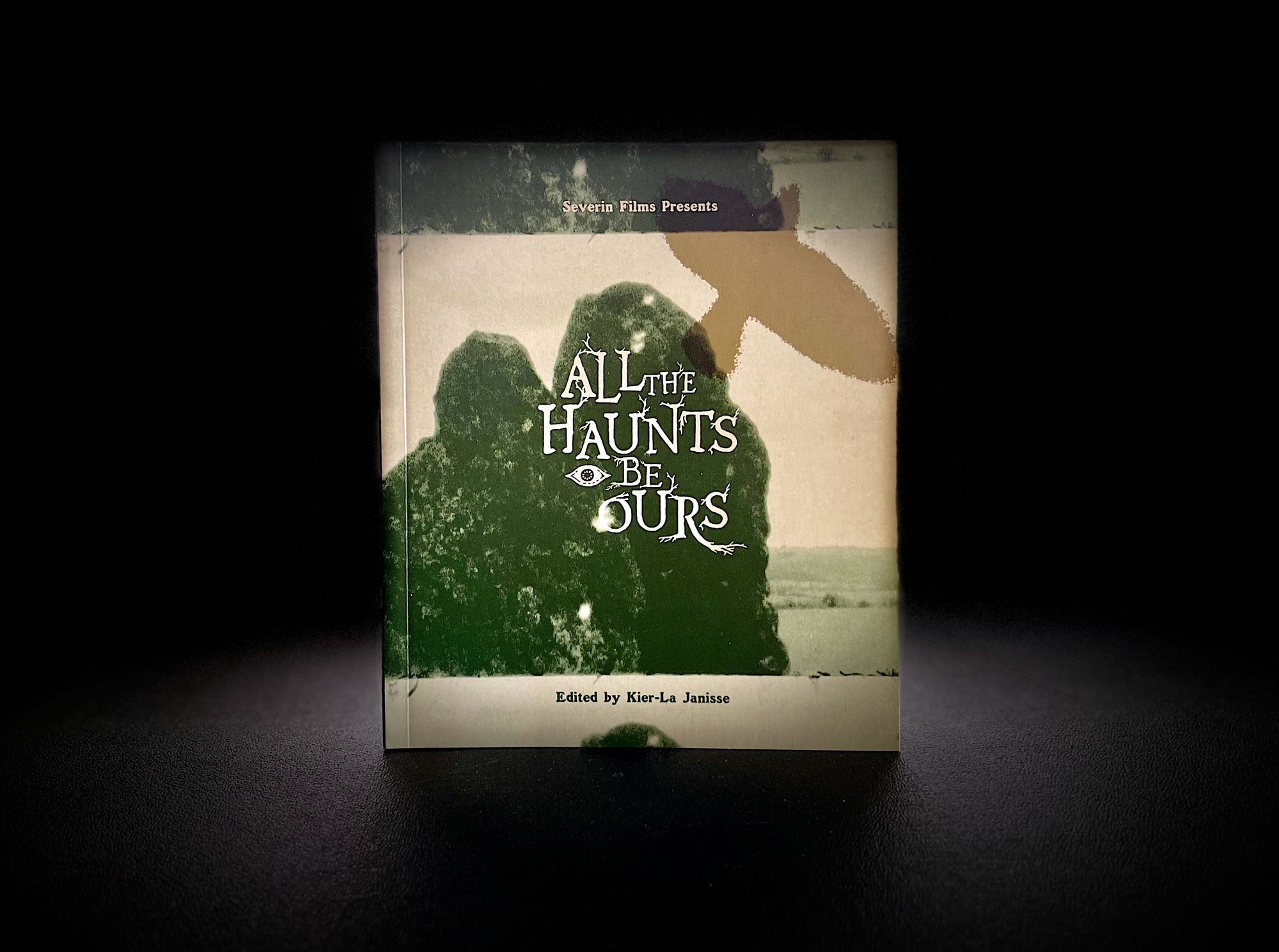 All The Haunts Be Ours companion book
