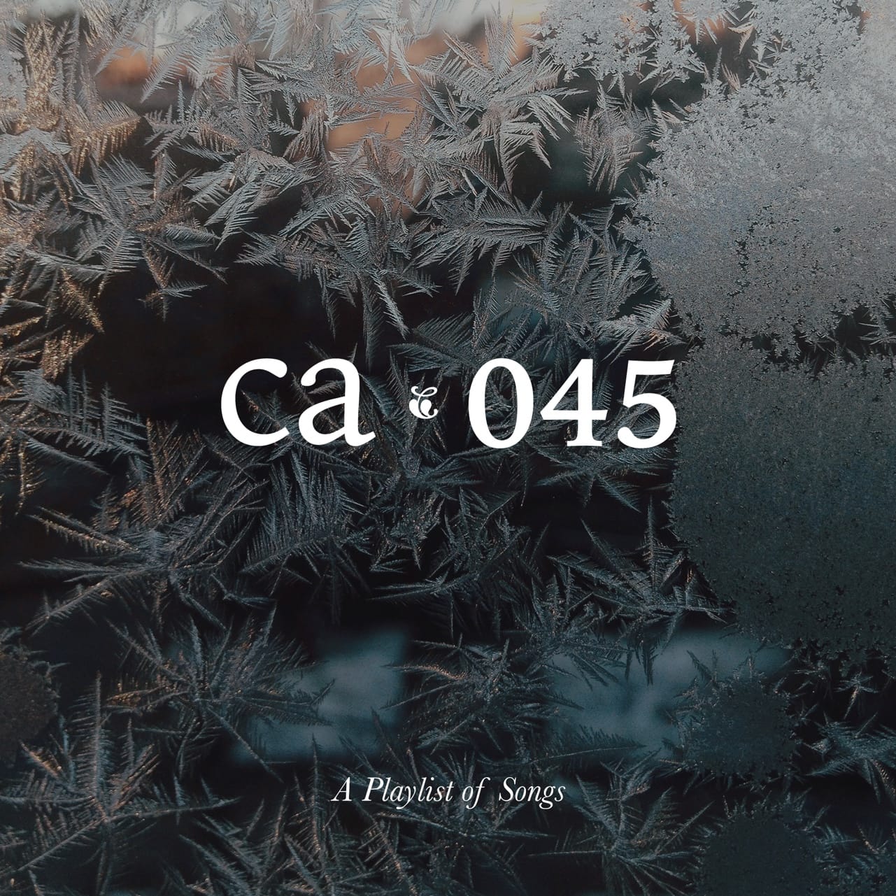 CA045 artwork