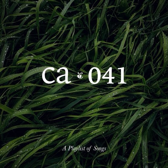 CA041 artwork