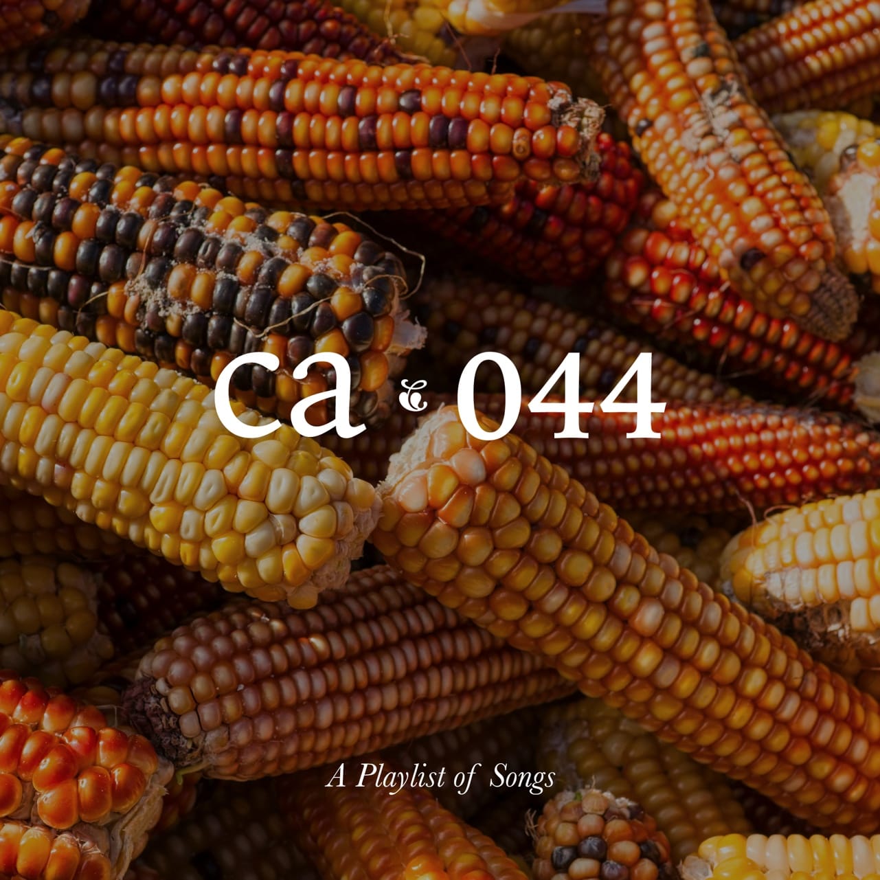 CA044 artwork
