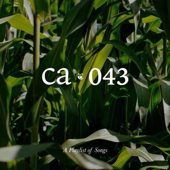 CA043 artwork